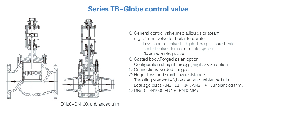 Series TB---Globe control valve