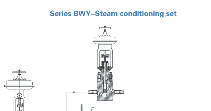 Series BWY----Steam conditioning set